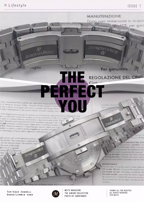 オーデマピゲ時計全体デザイン